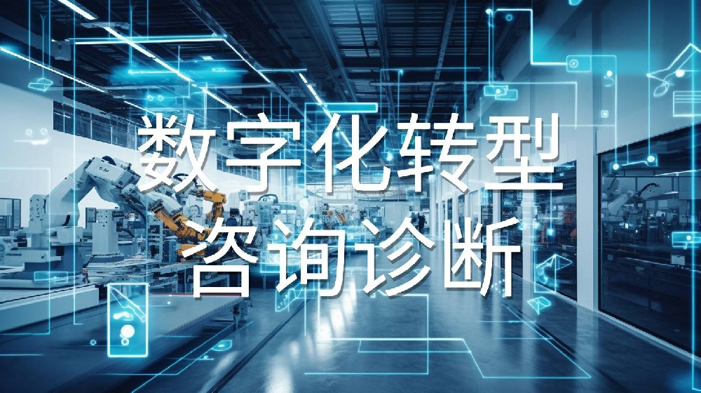泉州某机械制造企业数字化转型与智能制造联合诊断案例